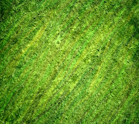 green grunge texture art background の写真素材