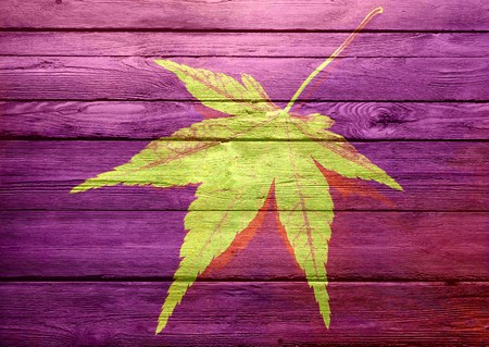 Art leaf on wood texture background