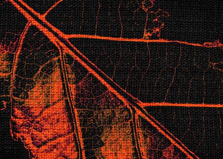 Art Painted Leaf  on Burlap Linen Rustic Jute Backgroundの写真素材