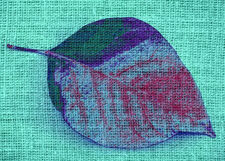 Art Painted Leaf  on Burlap Linen Rustic Jute Backgroundの写真素材