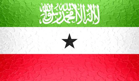 Somaliland flag on metallic metal textureの写真素材