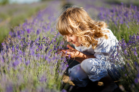A Boy in a white hat having fun in lavender fieldの写真素材