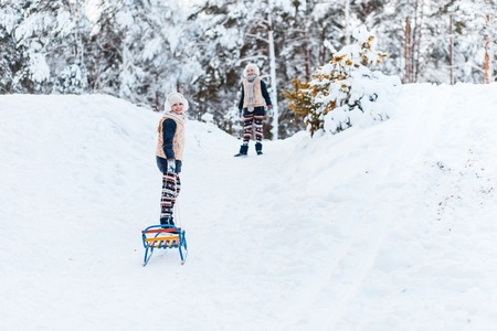 Beautiful teenage girls twins sisters riding sledge and having fun outside in a wood with snow . Friendship conseptの写真素材