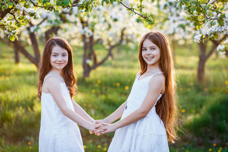 beautiful young girls in white dresses in the garden with apple trees blosoming at the sunset. two friends huggingの写真素材