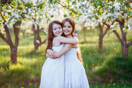 beautiful young girls in white dresses in the garden with apple trees blosoming at the sunset. two friends huggingの写真素材