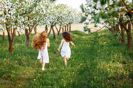 beautiful young girls in white dresses in the garden with apple trees blosoming at the sunset. two friends huggingの写真素材