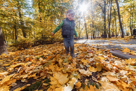 A cute little boy having fun in the park in autumnの写真素材