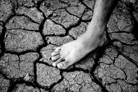 foot on dry or drought land backgroundの写真素材