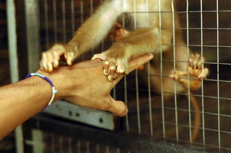 Please Set Me Freeの写真素材