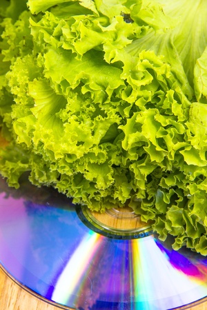 lettuce and dvdの写真素材