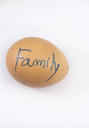 egg isolatedの写真素材