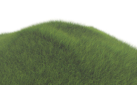 hill with green grassの写真素材