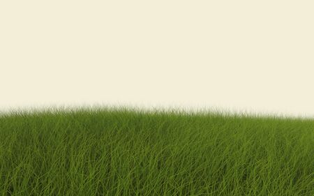 green grassの写真素材