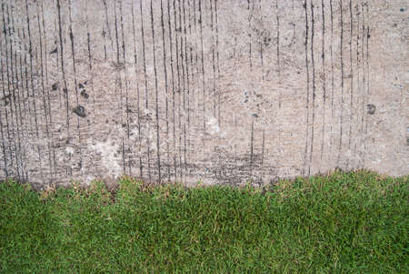 Cement texture background with grassの写真素材