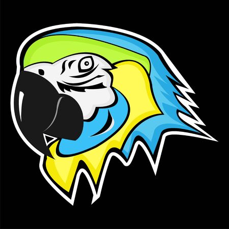 Beautiful agresive Parrot with black backgroundのイラスト素材