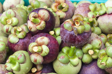 Fresh mangosteen after harvest from orchard go to te market の写真素材