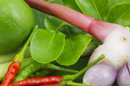 Fresh  kaffir lime leaves detail of ingredients for Thai soup, Tom Yum Goong の写真素材