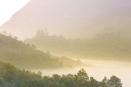 Beautiful sunrise in a misty rainforest, Thailand.の写真素材