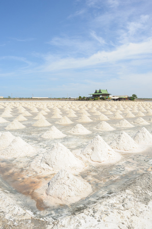 Salt fields in sunny day on SAMUTSAKORN, THAILAND.の写真素材