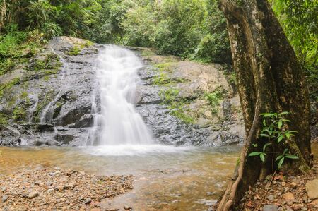 Beautiful little waterfall in rain forest, Thailand.の写真素材