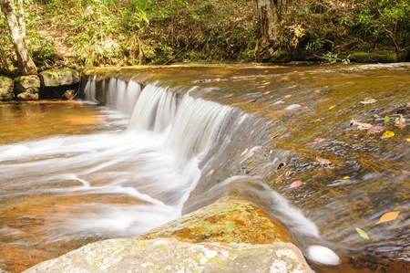 Beautiful small mountain brook in tropical forest, Thailand.の写真素材