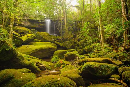 Beautiful cascade falls over mossy rocks in tropical forest, Thailand.の写真素材