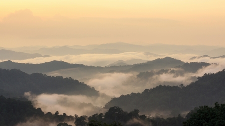 Beautiful tropical mountain mist in rain forest, Thailand. Beautiful tropical mountain mist in rain forest, Thailand.
