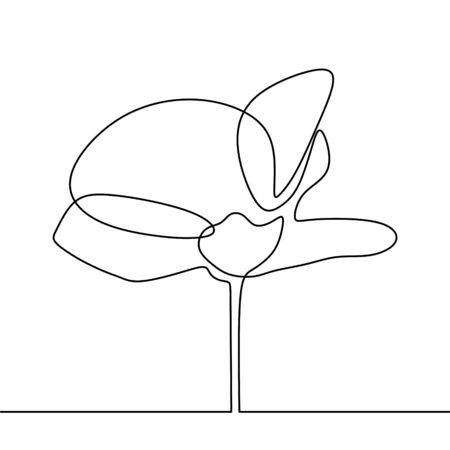 Poppy flower one line drawing continuous minimalist design isolated on white backgroundのイラスト素材