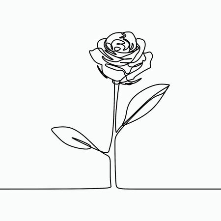 One line drawing of a rose flower. Minimal modern and simple design illustration vector.のイラスト素材