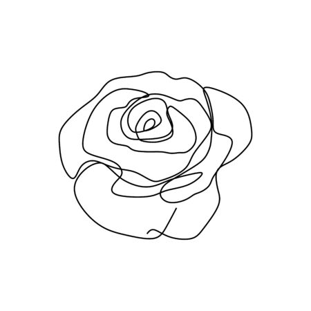 Rose flower continuous line art drawing vector illustrationのイラスト素材