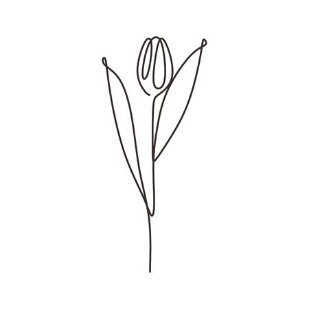 Tulip flower one line drawing minimalism vector illustration trendy design simplicity style.のイラスト素材