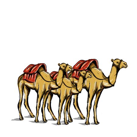 Hand drawn camel sketch drawing with watercolor hand drawn style vector illustration.のイラスト素材