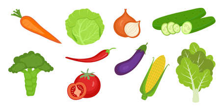 Set of fresh vegetables. Carrot, cucumber, broccoli, onion, cabbage, tomato, chili. Fresh farm...
