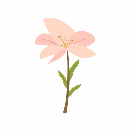 Minimalist fashion photography. Beautiful pink flower with green leaves isolated on white background. Birthday card, Mother's day, Valentine's day, Women's day and Wedding day conceptのイラスト素材