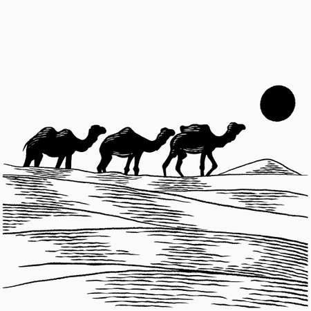 Hand drawn camels walk through the desert. Caravan going through the sand dunes isolated vector illustration. Camel caravan concept in vintage sketch in art retro engraved graphic styleのイラスト素材