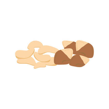 Roasted nut in shell isolated flat cartoon. A peeled and unpeeled food snack in hard shell. Vector illustration organic healthy food, edible brown nut, healthy eating, snack high on proteinsのイラスト素材