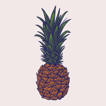 Pineapple fruit hand drawn retro. Healthy food poster. Vintage ink flat style, engraved hand drawn sketch. Exotic tropical fruit. Vector illustration. Perfect for greeting cards, menus, posters etc.のイラスト素材