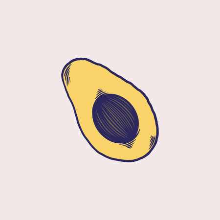 Vector hand drawn avocado fruit. Sliced pieces of avocado, tropical summer fruit engraved style...