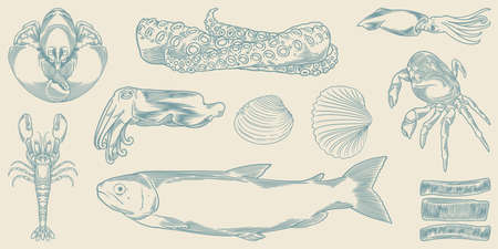 Set of hand drawn sea animal. Cool hand drawn seafood set isolated on white background.のイラスト素材
