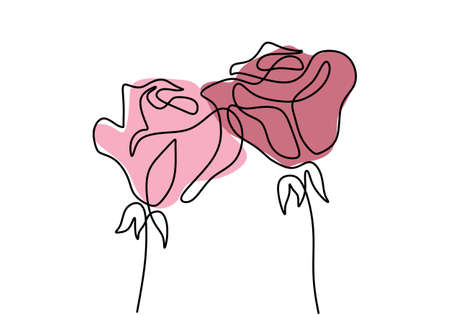 Rose line art drawing, continuous hand drawn minimalist flowers. Two blossoms isolated on white background.のイラスト素材