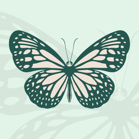 Hand drawn drawing of a butterfly. Butterfly coloring book design. Ink drawing, graphic style. Beautiful design elements. Vintage style.のイラスト素材