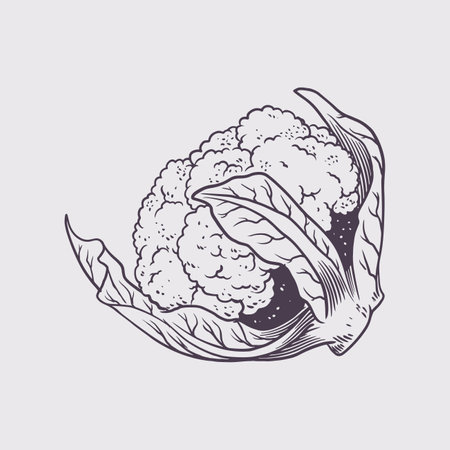 Broccoli hand drawing sketch. Vintage engraving eco food. Healthy vegetable. For wrapping paper, street festival, farmers market, country fair, shop, menu, cafe, restaurant.のイラスト素材