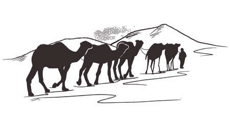 Hand drawn of Caravan with camels in desert. camel walking through the desert. Caravan going through the dunes.のイラスト素材