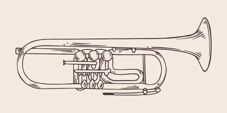 Vintage hand drawn trumpet in vintage engraved style. Isolated on white background. front view.