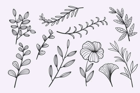 flower leaves doodle hand drawn vector illustration setのイラスト素材