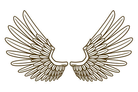 eagle wing vector illustrationのイラスト素材