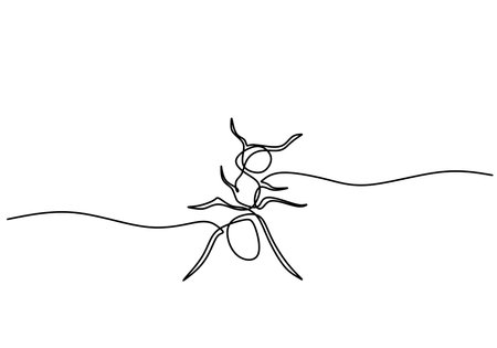 One line drawing of ant isolated on white background.のイラスト素材