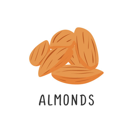 Almond nuts vector illustration. Isolated on a white background.のイラスト素材