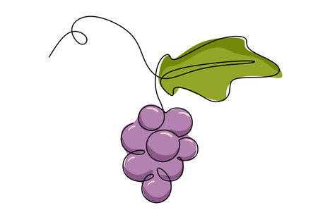 grapes with leaf icon over white background colorful design vector illustrationのイラスト素材