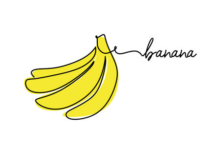 Banana continuous one line drawing, fruit vector illustration.のイラスト素材